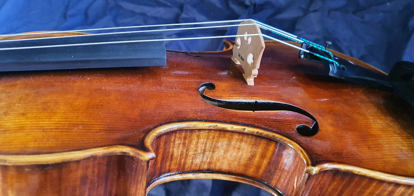 Salvatore Lombardi Viola image 4