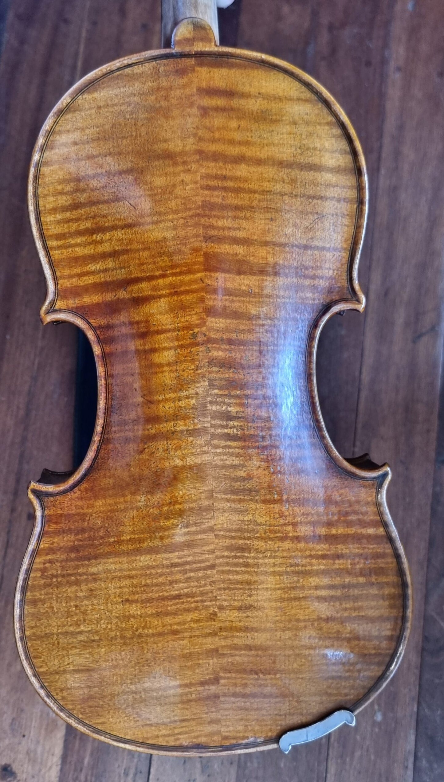 Giuseppe Ziardo Violin Outfit image 4
