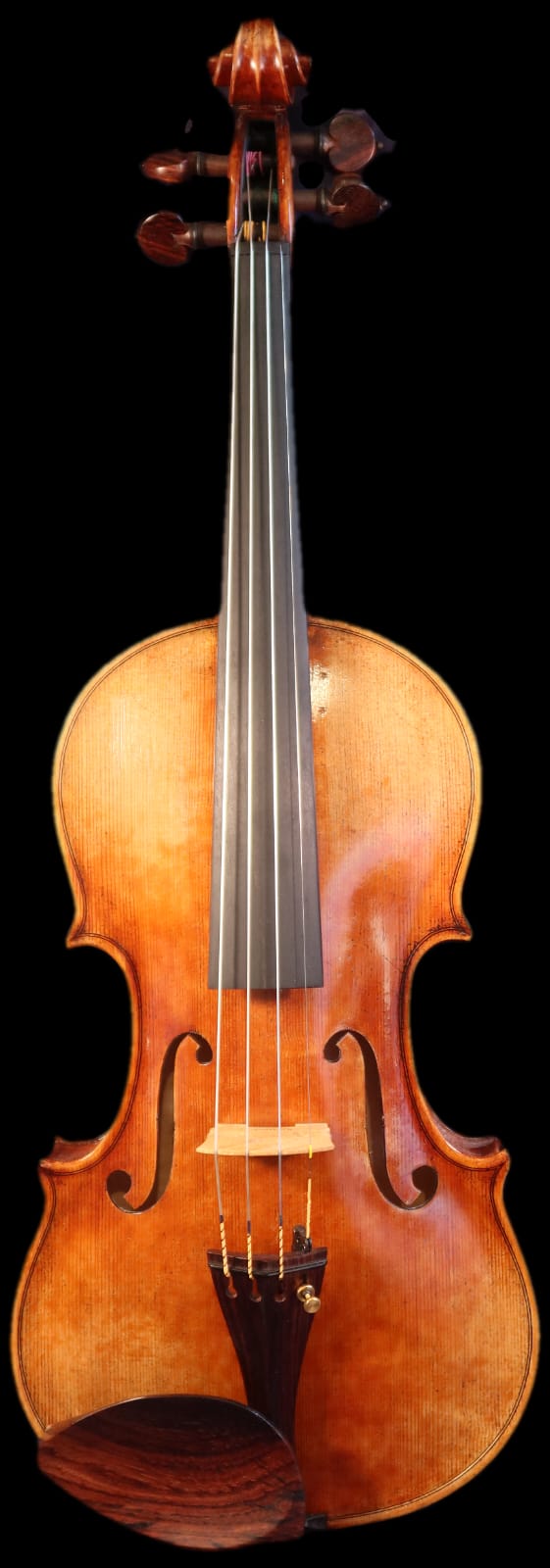 Fiemme Master Series Violin - Gold (two-piece back) 4/4 image 0