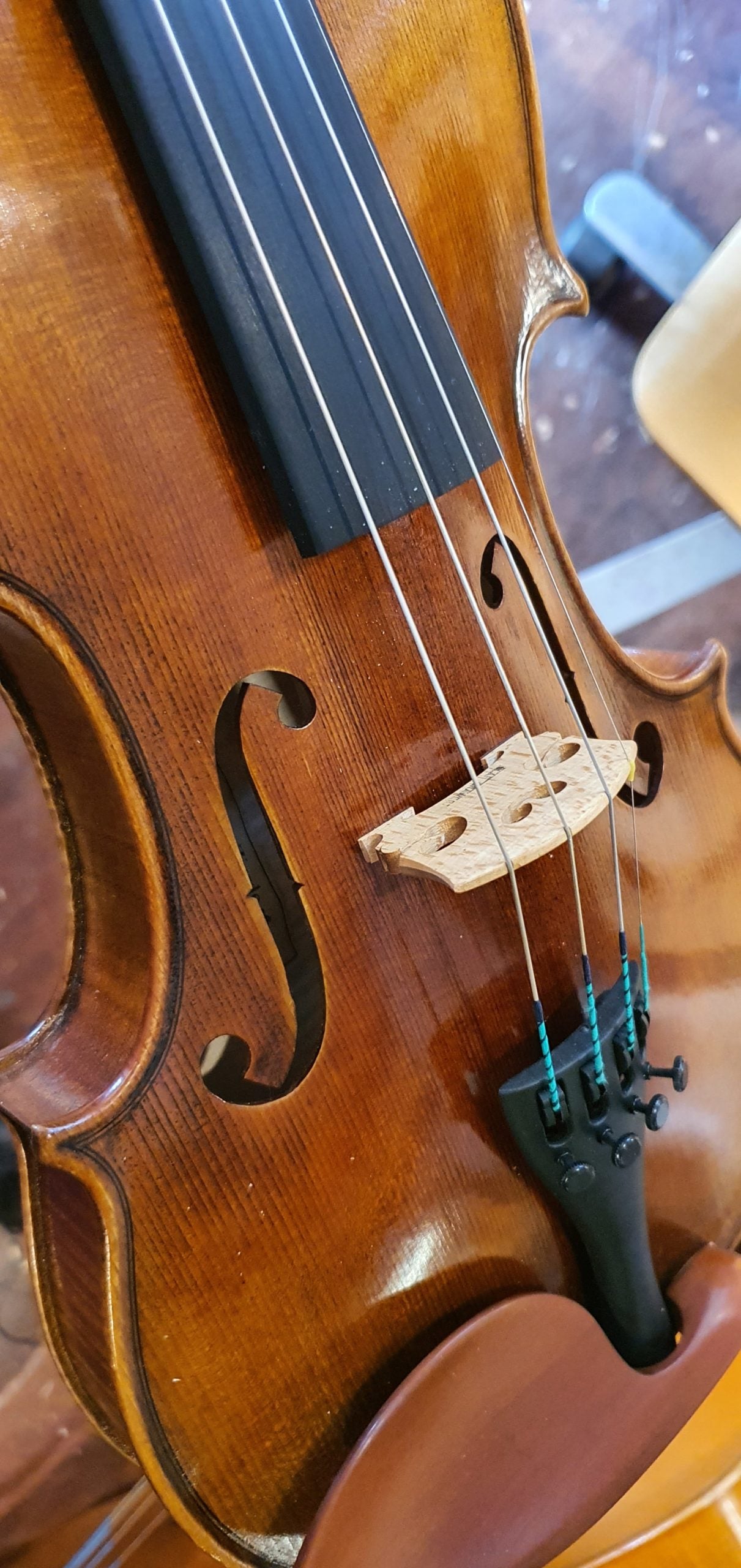Ettore Ziardo Violin image 2