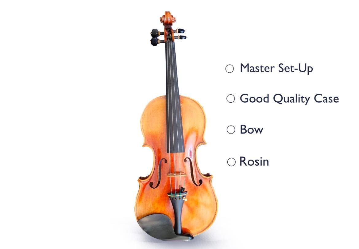 Piere Lomont Master Viola Outfit image 2