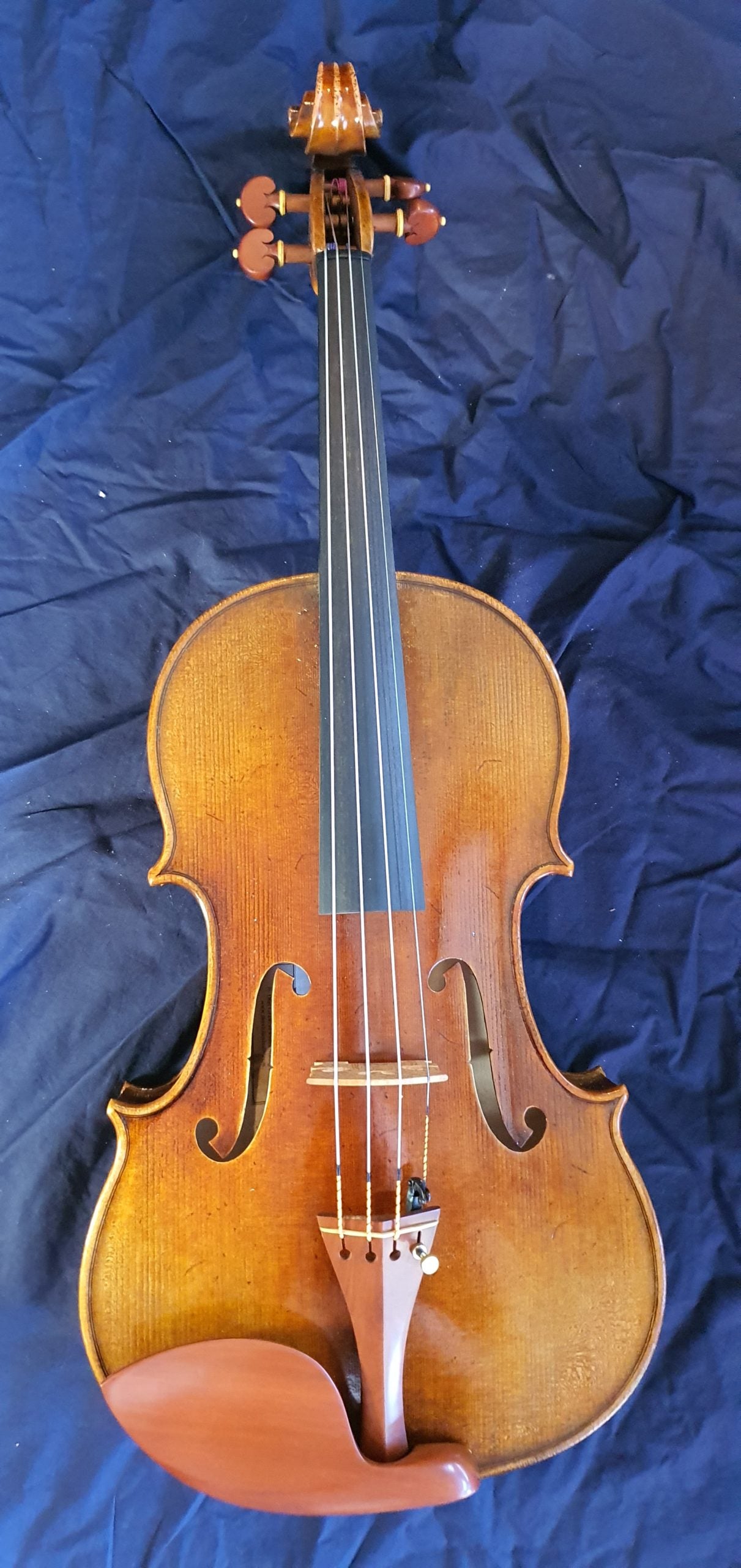 Giuseppe Ziardo Viola Outfit image 0