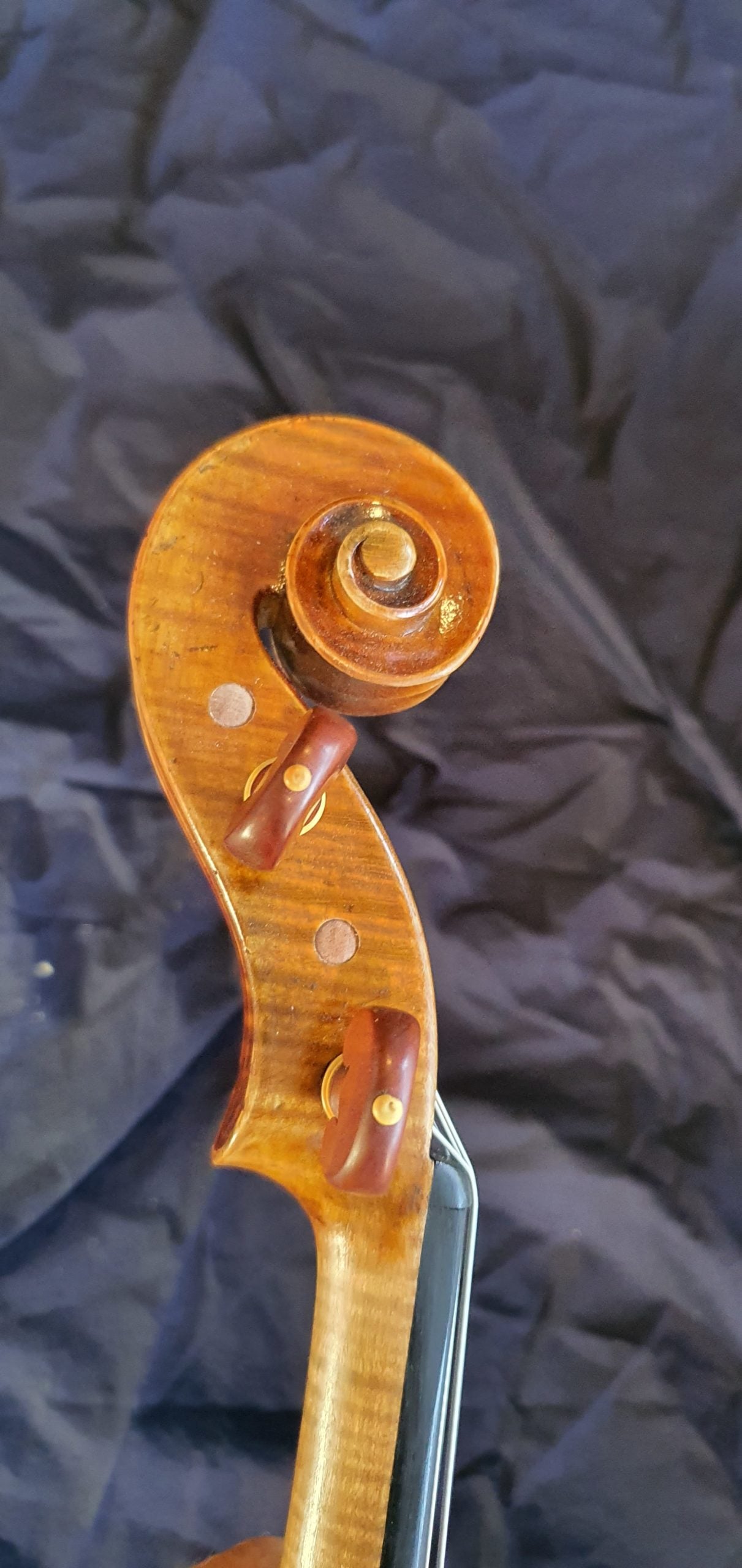 Giuseppe Ziardo Viola Outfit image 2