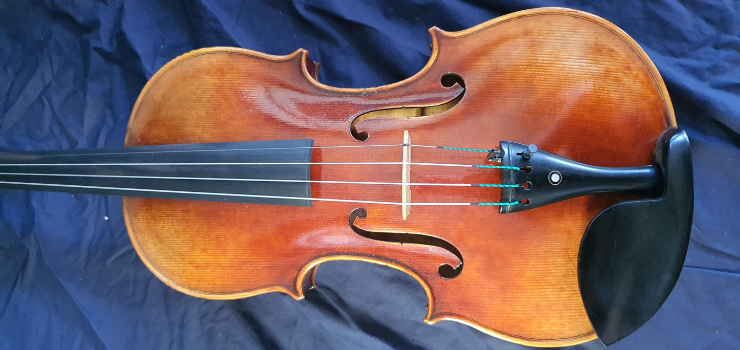 Salvatore Lombardi Viola image 3