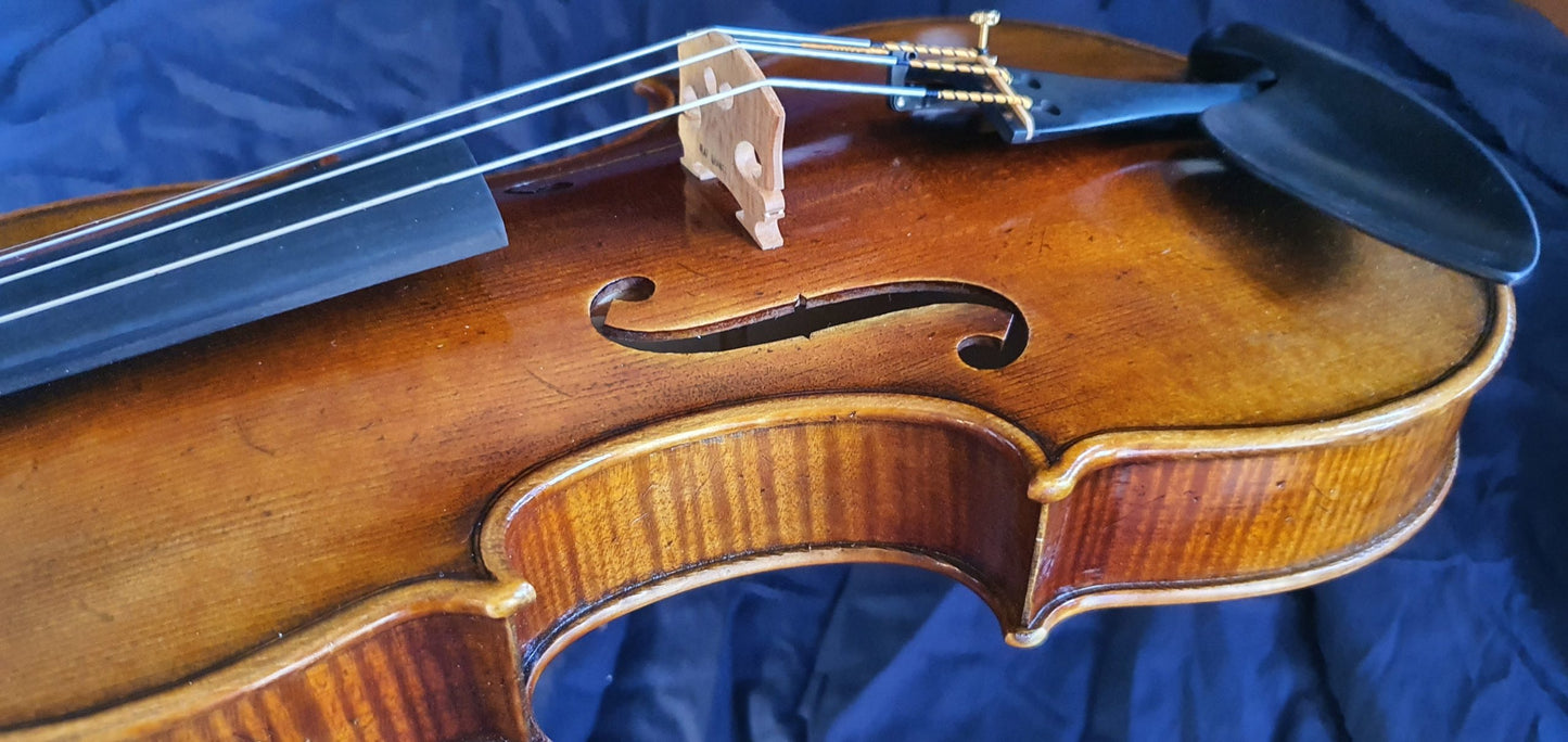 Giuseppe Ziardo Violin Outfit image 3