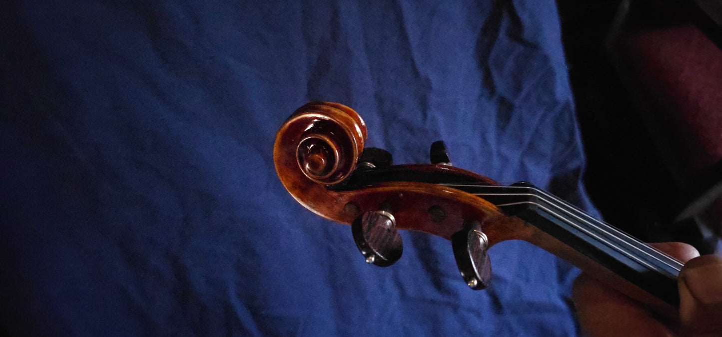 Pietro Giorgianni Violin image 3