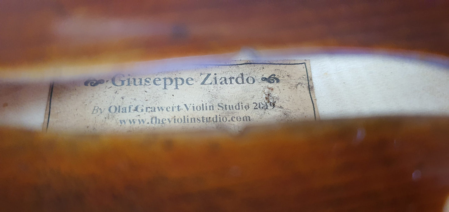 Giuseppe Ziardo Viola Outfit image 3