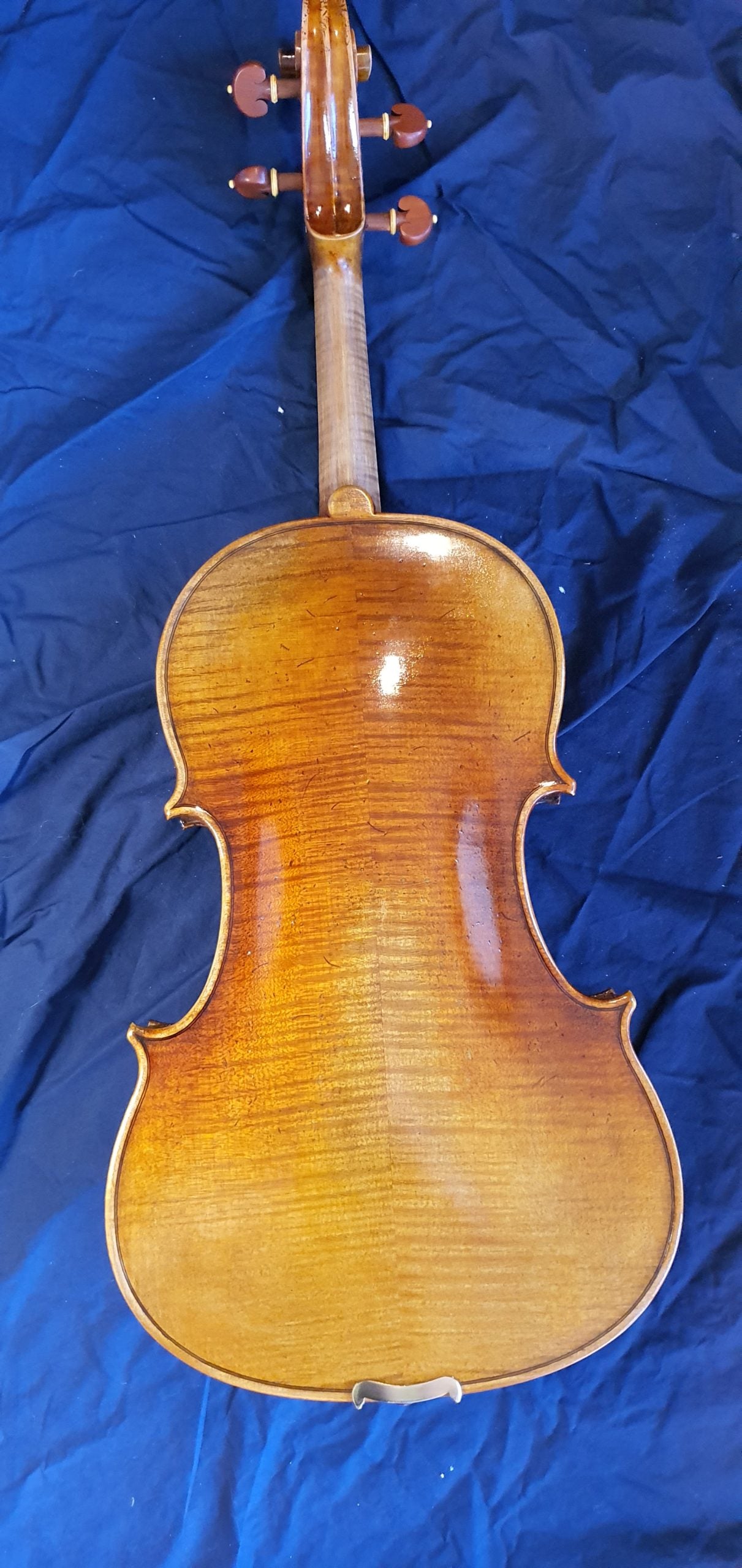 Giuseppe Ziardo Viola Outfit image 1