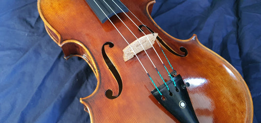 Salvatore Lombardi Viola image 0