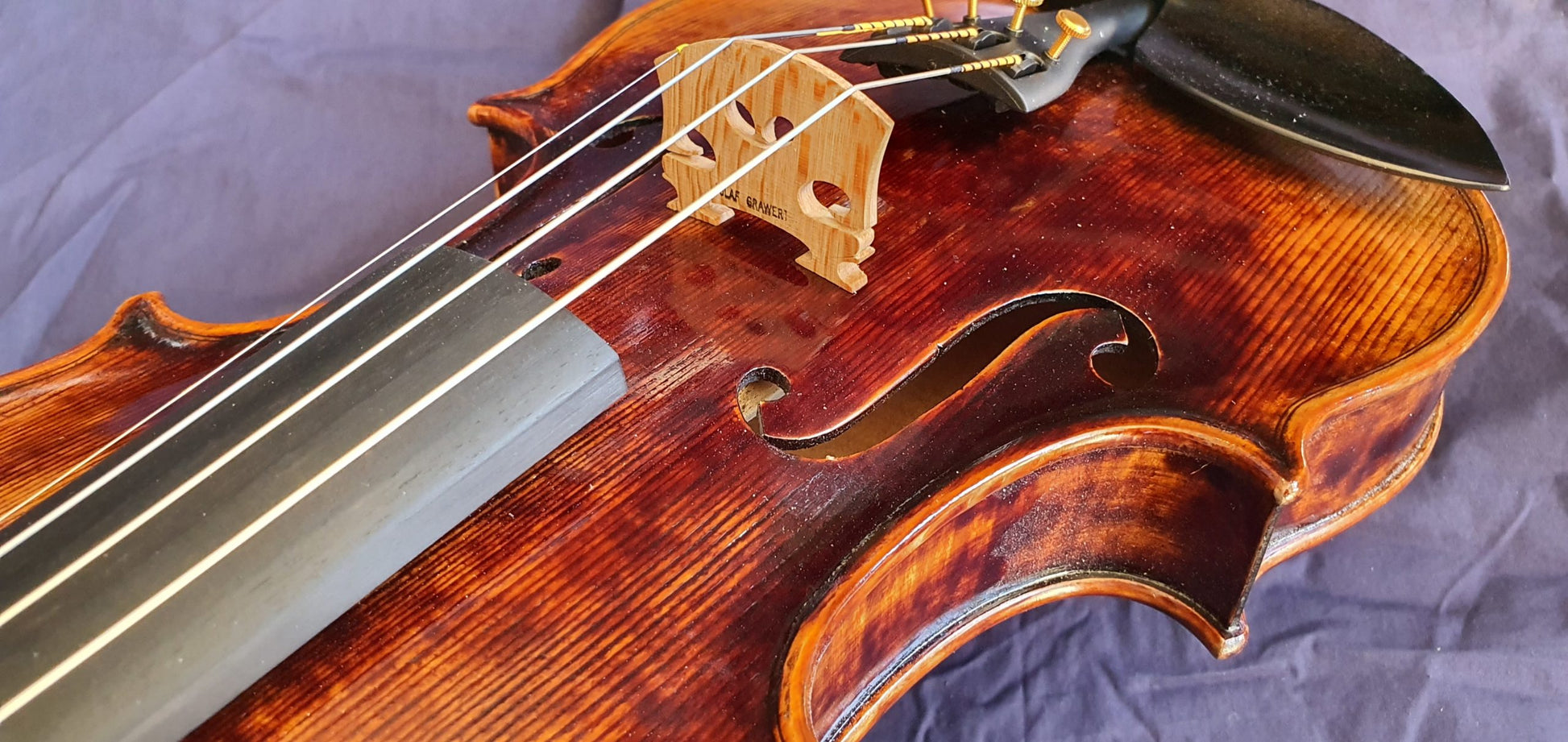 Georg Hoffmeister Violin Outfit image 2