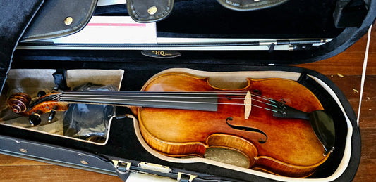 Piere Lomont Master Viola Outfit image 0
