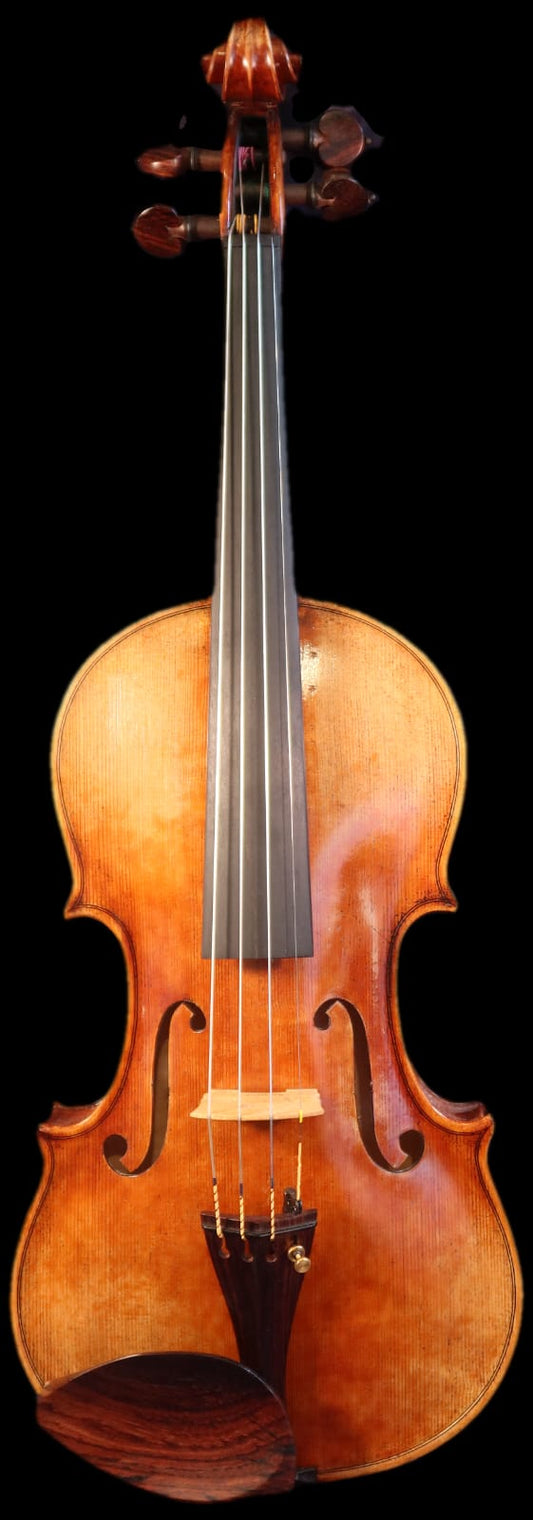 Fiemme Master Series Violin - Gold (two-piece back) 4/4 image 0