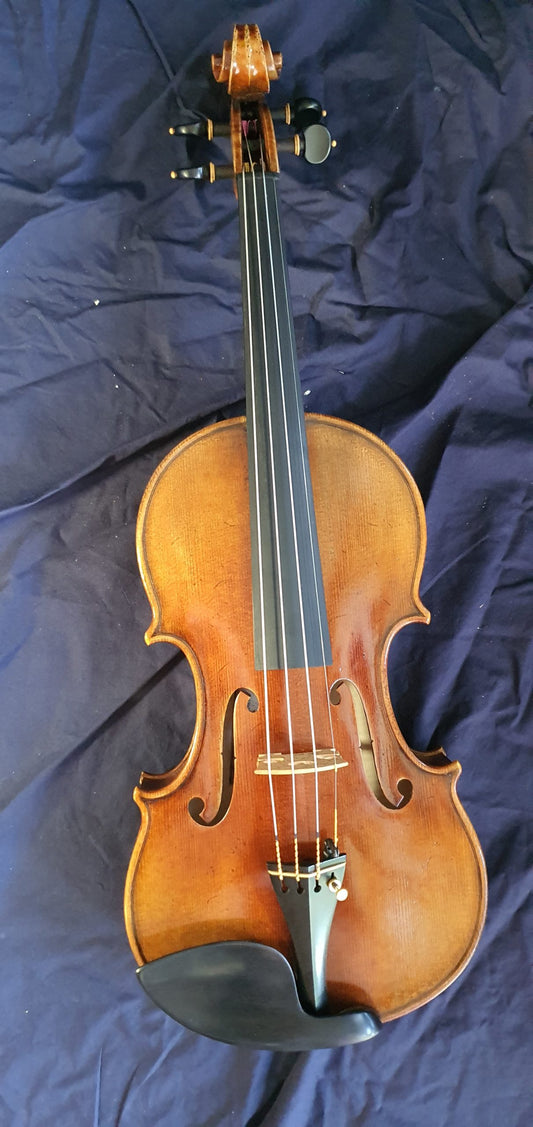 Giuseppe Ziardo Violin Outfit image 0