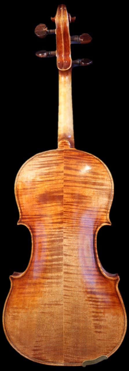 Fiemme Master Series Violin - Gold (two-piece back) 4/4 image 1