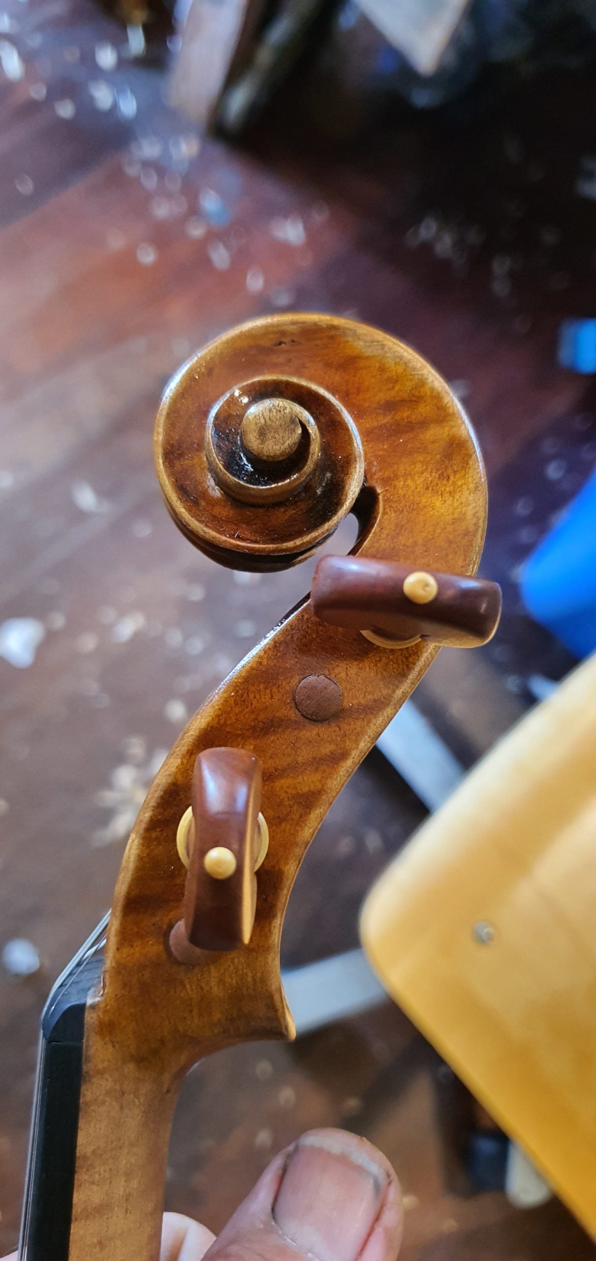 Ettore Ziardo Violin image 3
