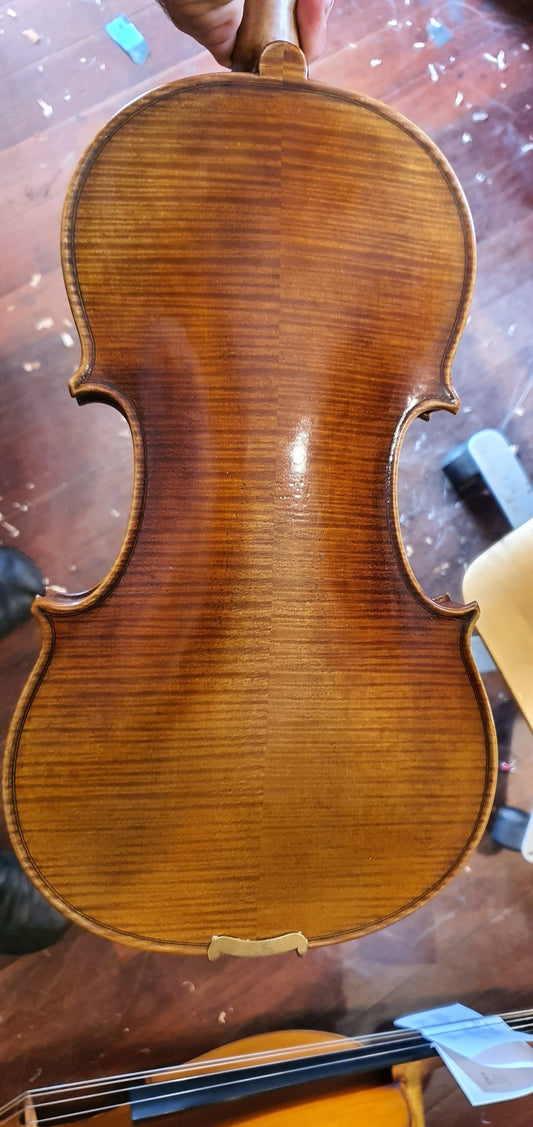 Ettore Ziardo Violin image 1